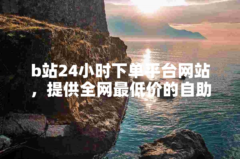 b站24小时下单平台网站，提供全网最低价的自助下单服务。