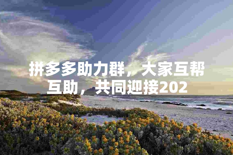 拼多多助力群，大家互帮互助，共同迎接2025年的美好时光。