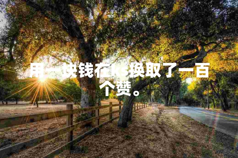 用一块钱在ks换取了一百个赞。