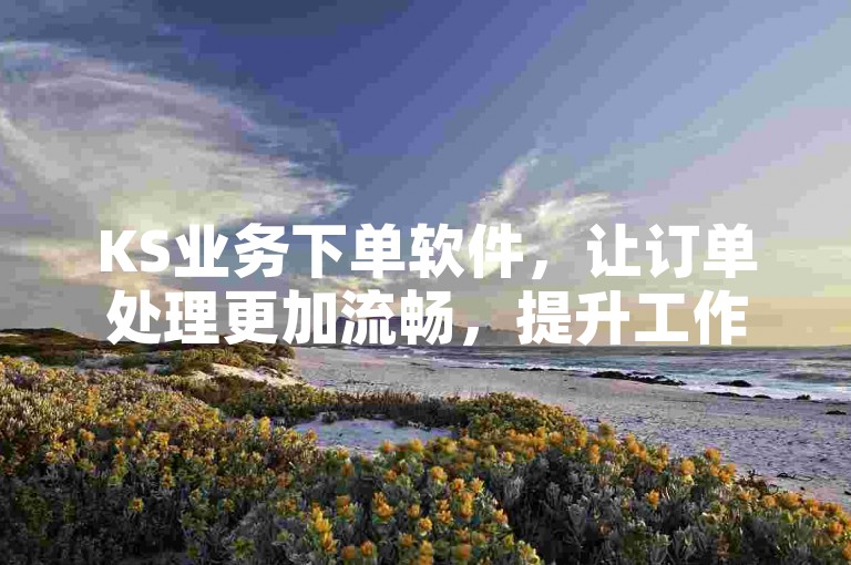 KS业务下单软件，让订单处理更加流畅，提升工作效率。