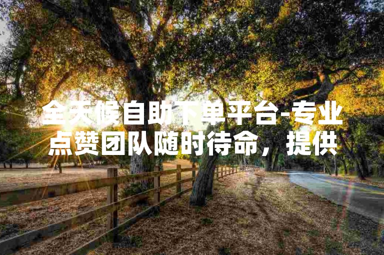 全天候自助下单平台-专业点赞团队随时待命，提供24小时不间断的点赞服务。