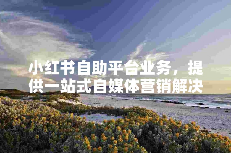 小红书自助平台业务，提供一站式自媒体营销解决方案。