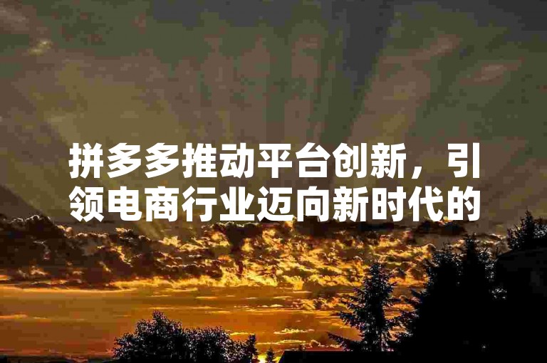 拼多多推动平台创新，引领电商行业迈向新时代的创新模式。