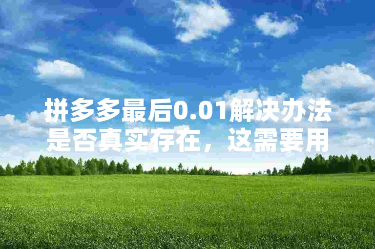 拼多多最后0.01解决办法是否真实存在，这需要用户通过官方渠道或可靠的第三方平台进行验证。多多帮点可能是一个提供帮助的社区或服务，但具体效果和可信度还需用户自行判断。