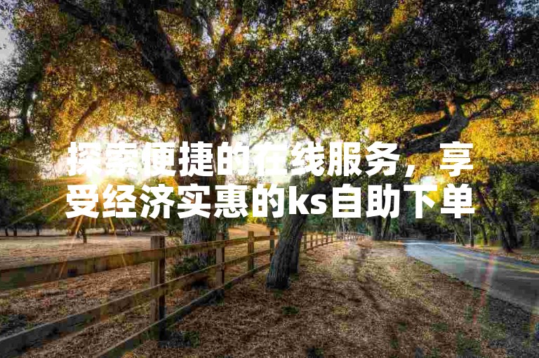 探索便捷的在线服务，享受经济实惠的ks自助下单体验。