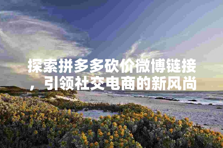 探索拼多多砍价微博链接，引领社交电商的新风尚。