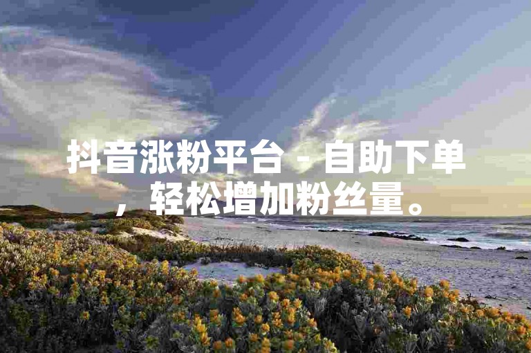 抖音涨粉平台 - 自助下单，轻松增加粉丝量。