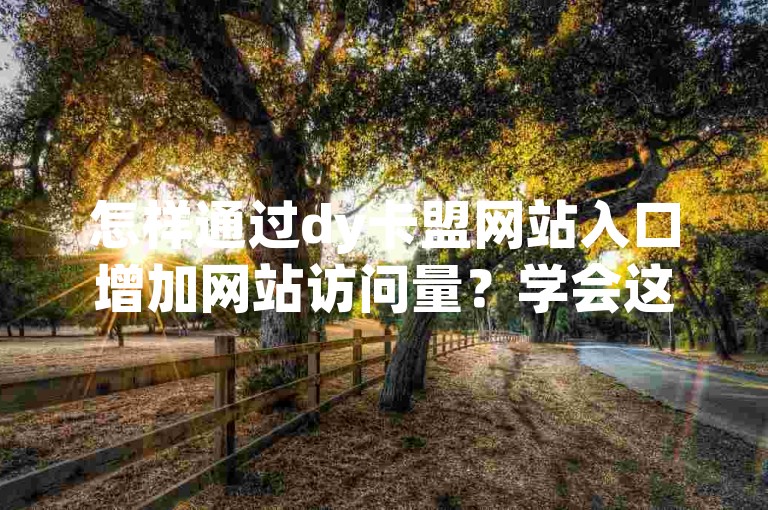 怎样通过dy卡盟网站入口增加网站访问量？学会这些核心策略，帮你达成SEO优化的目的！