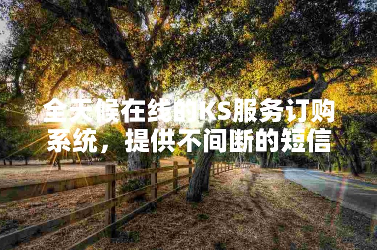 全天候在线的KS服务订购系统，提供不间断的短信业务优惠自助下单体验。