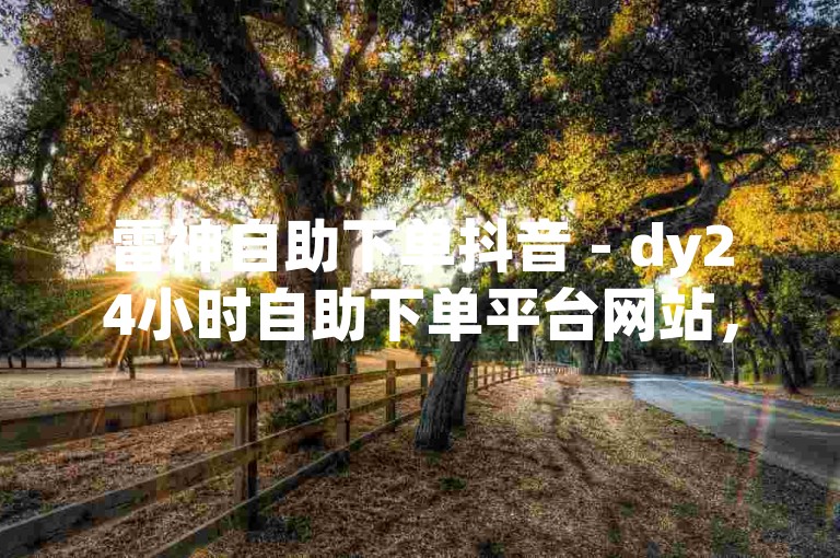 雷神自助下单抖音 - dy24小时自助下单平台网站，提供便捷的在线服务。