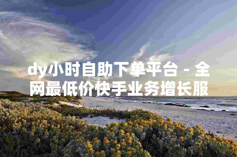 dy小时自助下单平台 - 全网最低价快手业务增长服务
