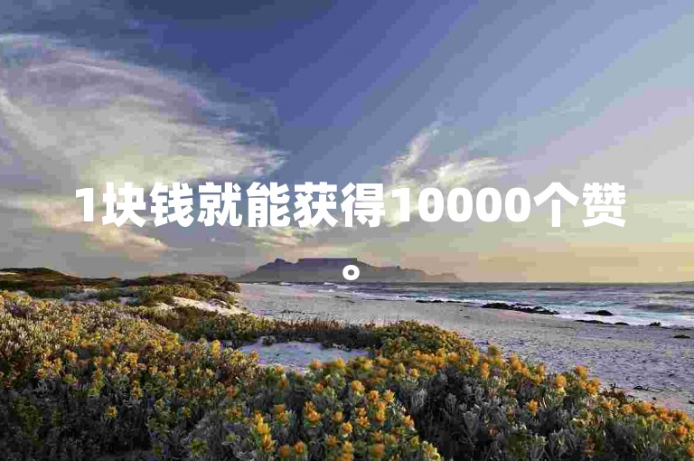 1块钱就能获得10000个赞。