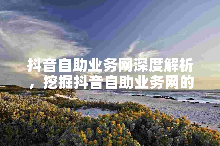 抖音自助业务网深度解析，挖掘抖音自助业务网的潜在价值与创新应用！2024必备知识
