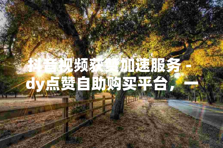 抖音视频获赞加速服务 - dy点赞自助购买平台，一元起购。