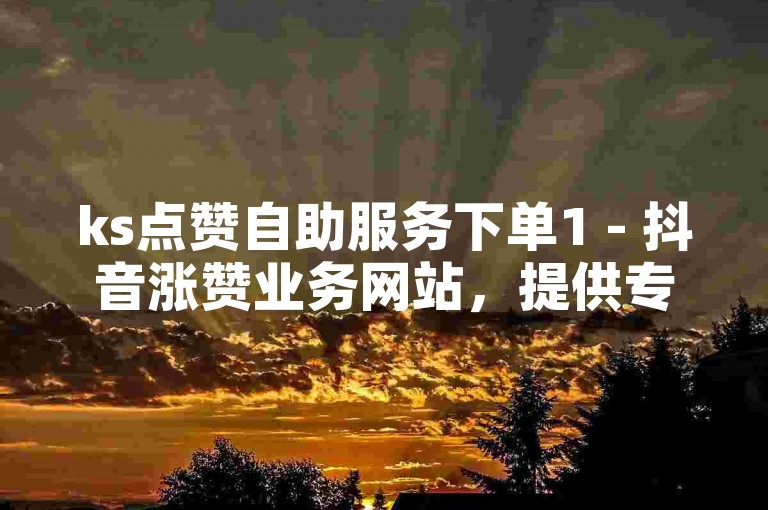 ks点赞自助服务下单1 - 抖音涨赞业务网站，提供专业的点赞和粉丝增长服务。