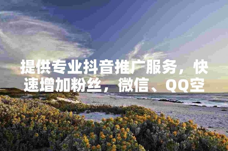 提供专业抖音推广服务，快速增加粉丝，微信、QQ空间订单处理专家，小红书粉丝增长助手。