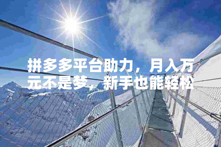 拼多多平台助力，月入万元不是梦，新手也能轻松实现。