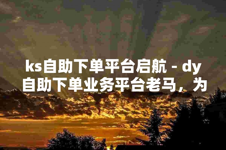 ks自助下单平台启航 - dy自助下单业务平台老马，为您提供便捷的在线服务。