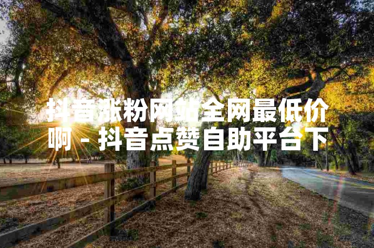 抖音涨粉网站全网最低价啊 - 抖音点赞自助平台下单网站下载