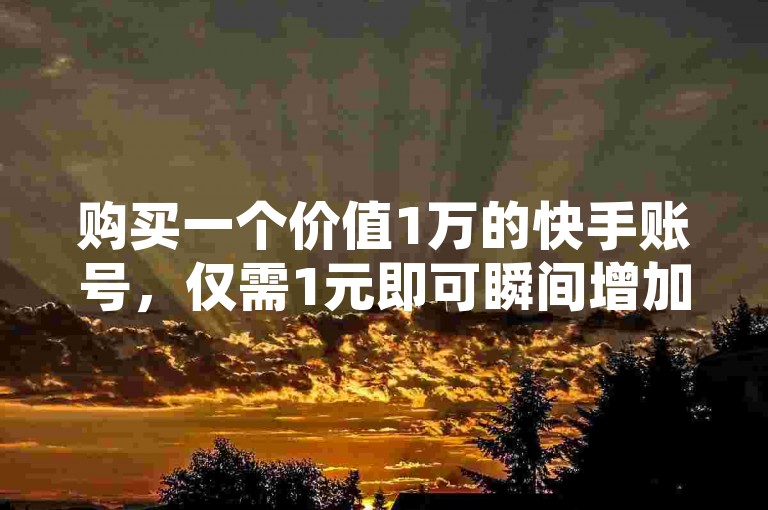 购买一个价值1万的快手账号，仅需1元即可瞬间增加1000粉丝。