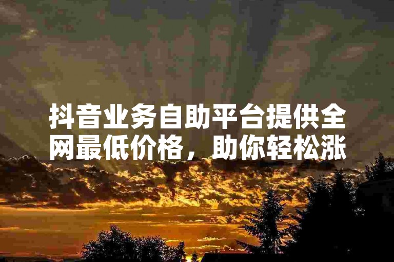 抖音业务自助平台提供全网最低价格，助你轻松涨粉。