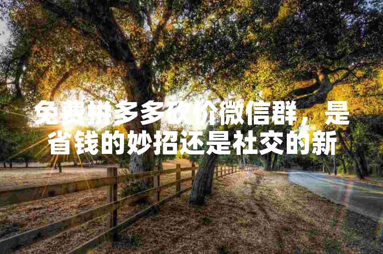免费拼多多砍价微信群，是省钱的妙招还是社交的新风尚？