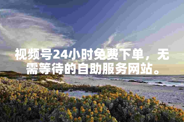 视频号24小时免费下单，无需等待的自助服务网站。