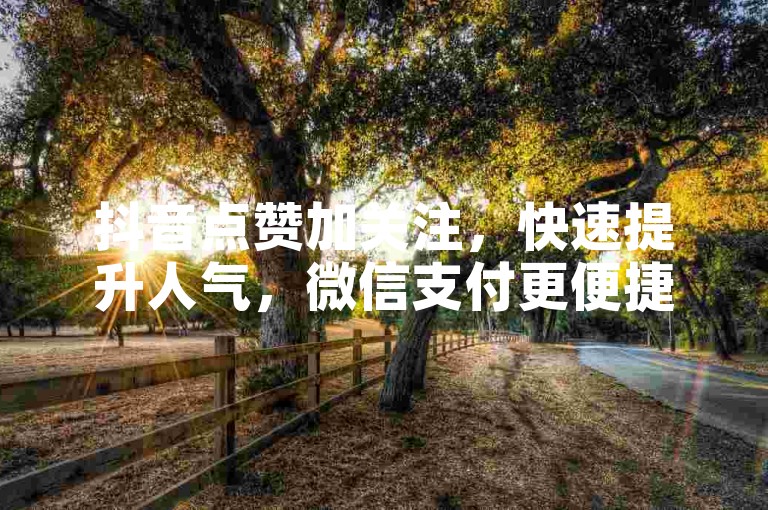 抖音点赞加关注，快速提升人气，微信支付更便捷。