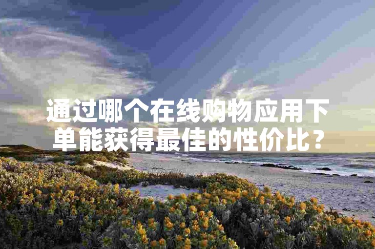 通过哪个在线购物应用下单能获得最佳的性价比？