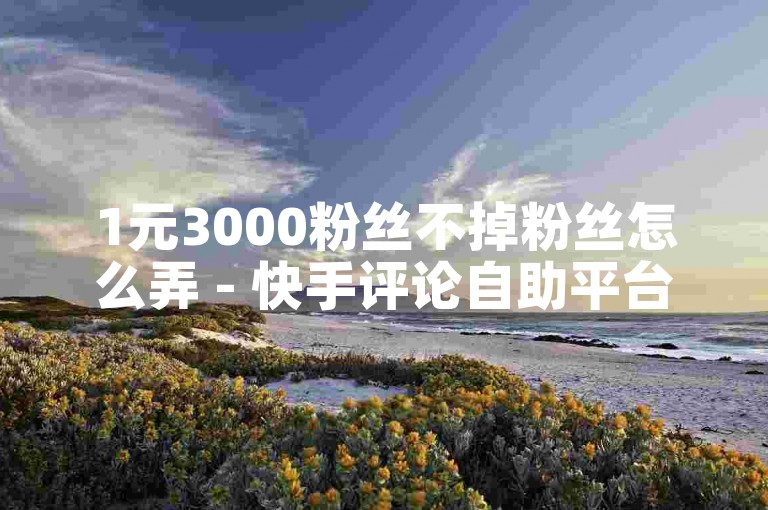 1元3000粉丝不掉粉丝怎么弄 - 快手评论自助平台自定义评论