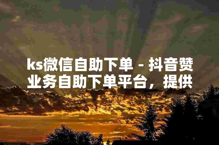 ks微信自助下单 - 抖音赞业务自助下单平台，提供便捷的点赞服务。