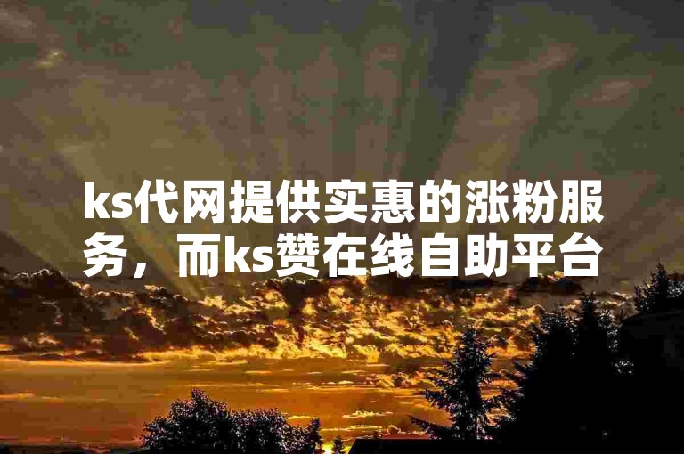 ks代网提供实惠的涨粉服务，而ks赞在线自助平台则以低价满足用户点赞需求。