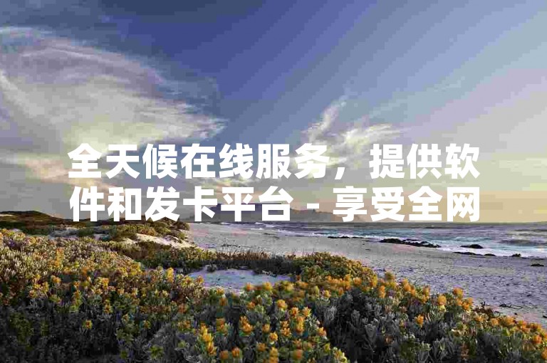 全天候在线服务，提供软件和发卡平台 - 享受全网最低价的24小时自助下单体验。