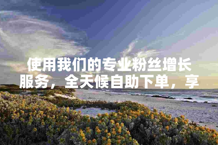 使用我们的专业粉丝增长服务，全天候自助下单，享受全网最具竞争力的价格。