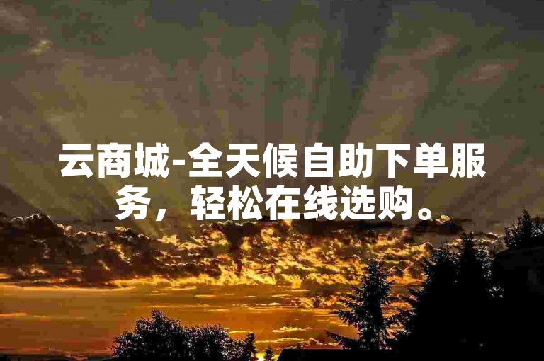 云商城-全天候自助下单服务，轻松在线选购。