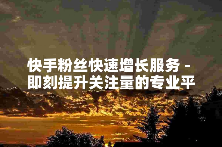 快手粉丝快速增长服务 - 即刻提升关注量的专业平台。