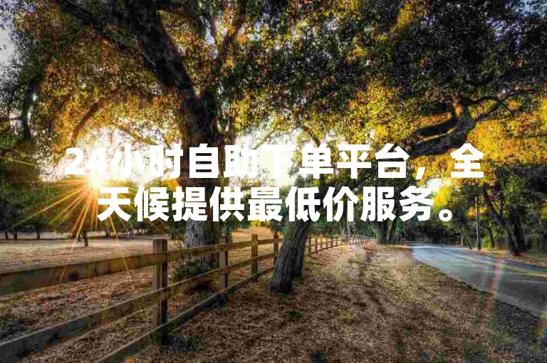 24小时自助下单平台，全天候提供最低价服务。