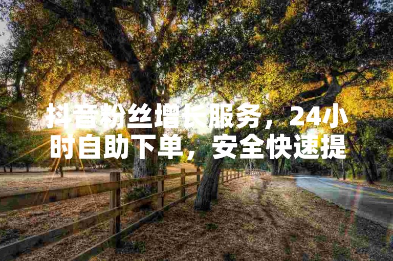 抖音粉丝增长服务，24小时自助下单，安全快速提升影响力。