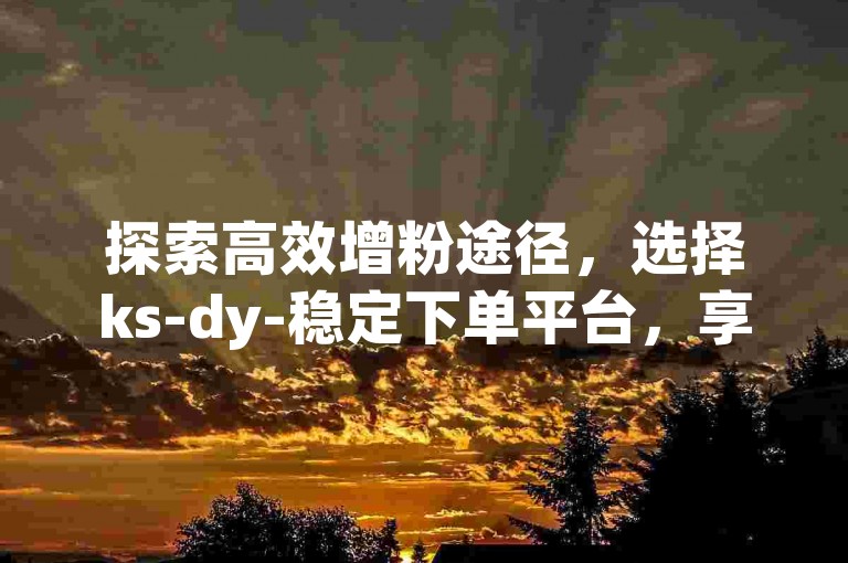 探索高效增粉途径，选择ks-dy-稳定下单平台，享受超低价服务。