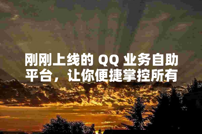 刚刚上线的 QQ 业务自助平台，让你便捷掌控所有 QQ 相关事务。