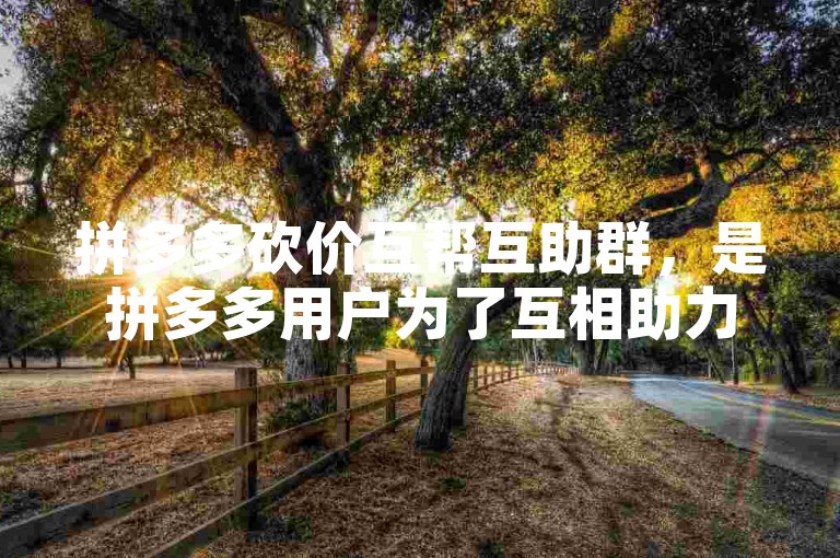 拼多多砍价互帮互助群，是拼多多用户为了互相助力砍价而建立的社群。