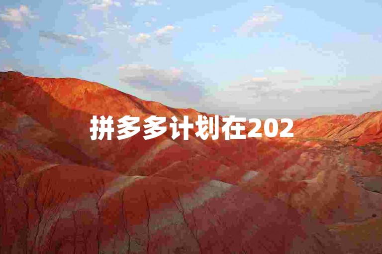 拼多多计划在2025年扩展其助力网站，增设多个分站点。