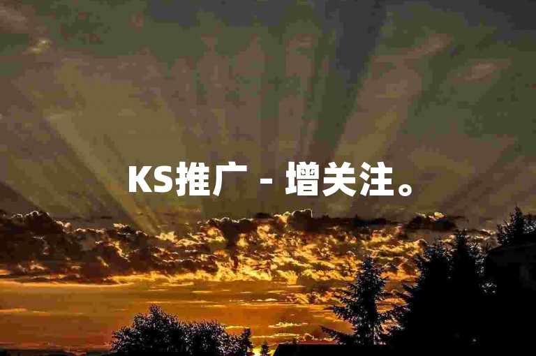 KS推广 - 增关注。