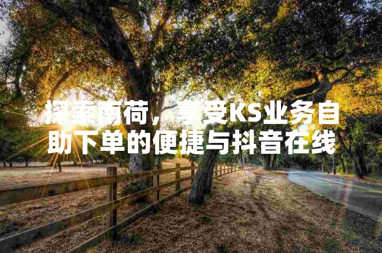 探索南荷，享受KS业务自助下单的便捷与抖音在线涨粉的高效服务。