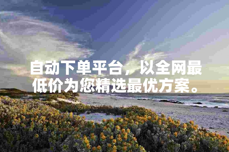 自动下单平台，以全网最低价为您精选最优方案。
