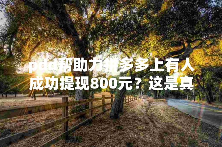 pdd帮助力拼多多上有人成功提现800元？这是真的还是假的呢？