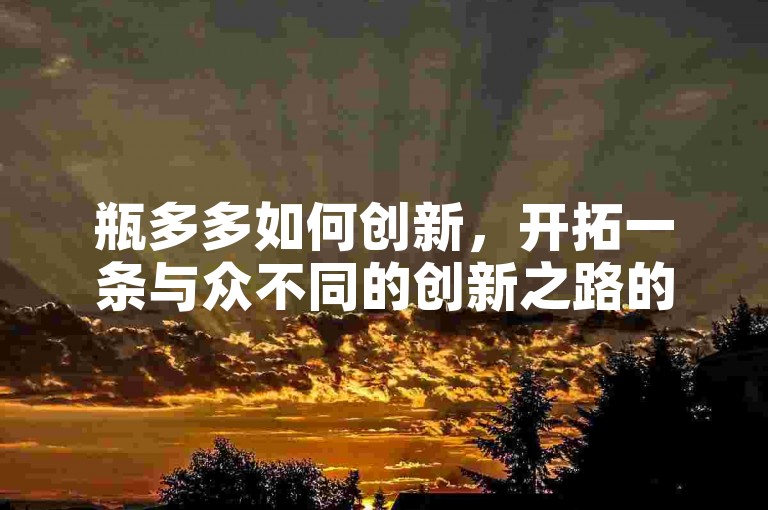 瓶多多如何创新，开拓一条与众不同的创新之路的方案与成效