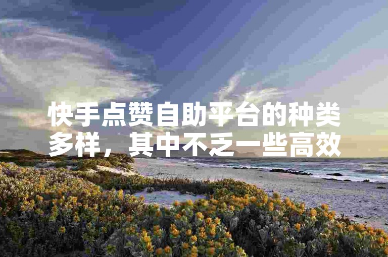 快手点赞自助平台的种类多样，其中不乏一些高效且用户友好的选项。