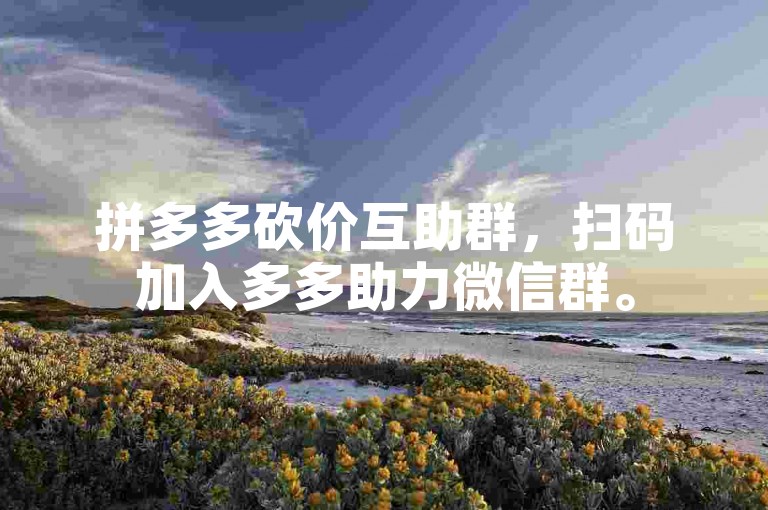 拼多多砍价互助群，扫码加入多多助力微信群。