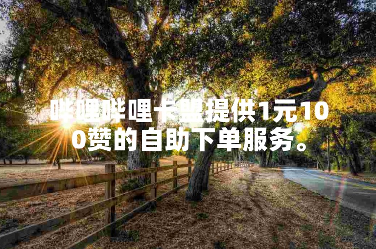 哔哩哔哩卡盟提供1元100赞的自助下单服务。